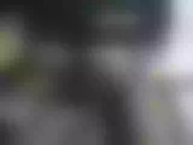 Live sex webcam photo for Veroh-1 #288424733
