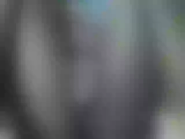 Live sex webcam photo for Veroh-1 #289903521