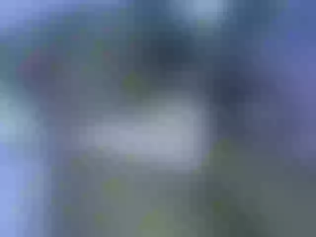 Live sex webcam photo for Veroh-1 #289948822