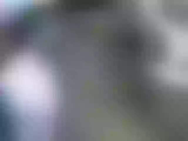 Live sex webcam photo for Veroh-1 #290006810