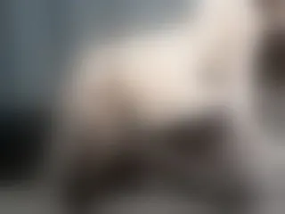 Live sex webcam photo for Veronamoore #145717866