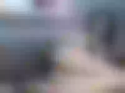 Live sex webcam photo for Veronamoore #150528928