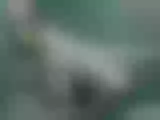 Live sex webcam photo for Veronamoore #193946151