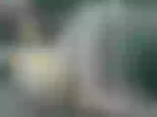 Live sex webcam photo for Veronamoore #194369876