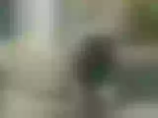Live sex webcam photo for Veronamoore #195496454
