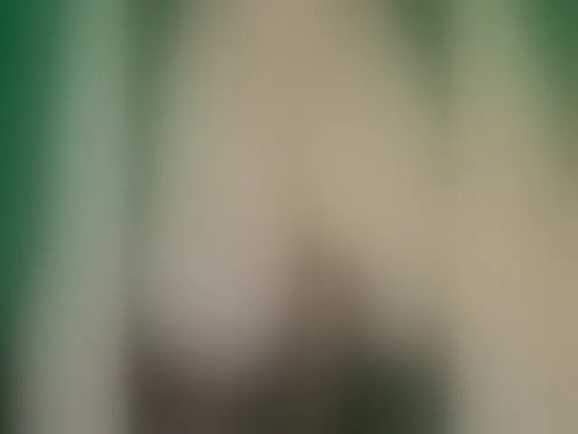 Live sex webcam photo for VeronicaChica #290964335