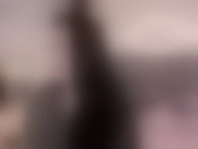 Live sex webcam photo for VeronicaLanz #293349375
