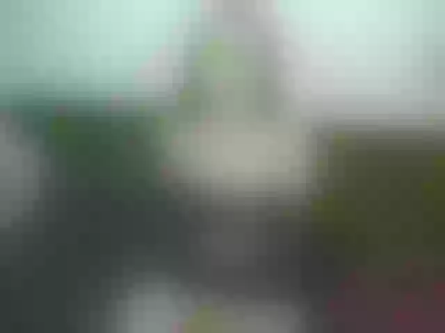 Live sex webcam photo for VeronikaNew #290899790