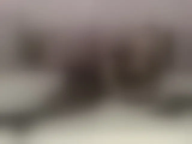 Live sex webcam photo for Versavia #293577498