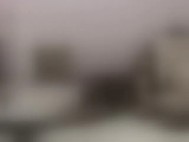 Live sex webcam photo for Versavia #293833706