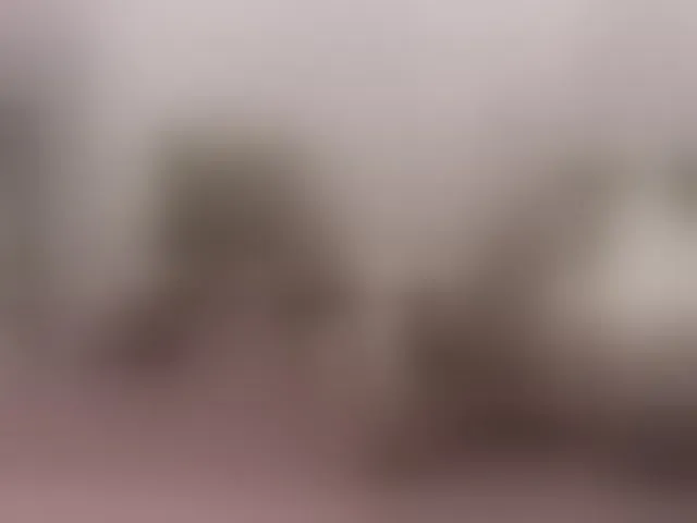 Live sex webcam photo for Versavia #294004374