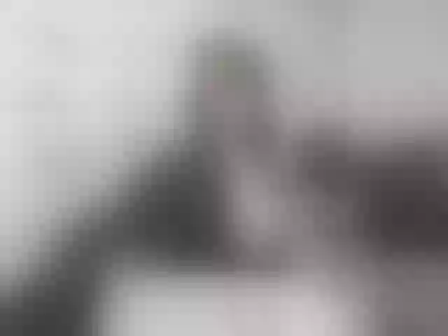 Live sex webcam photo for VeryBaby #292073422