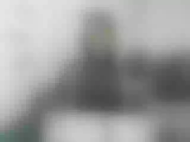 Live sex webcam photo for VeryBaby #292120435