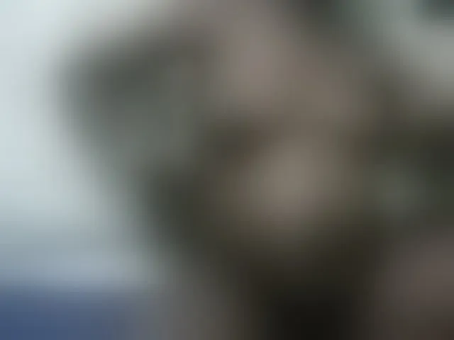 Live sex webcam photo for Verylshanny #291781313