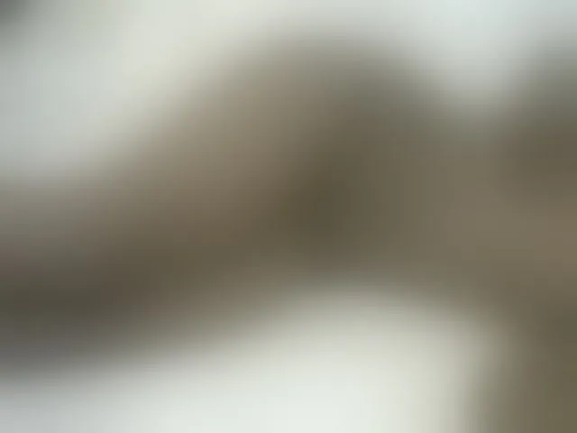 Live sex webcam photo for Verylshanny #293815825