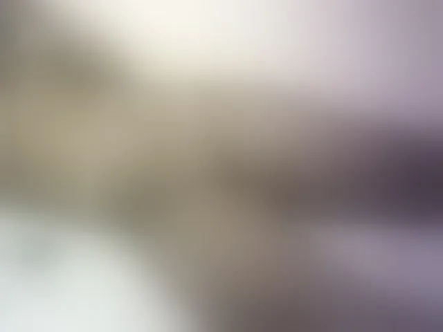 Live sex webcam photo for Verylshanny #293863202