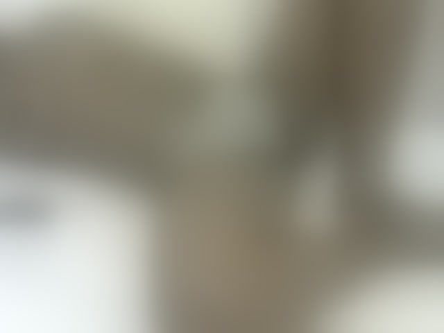Live sex webcam photo for Verylshanny #293917852