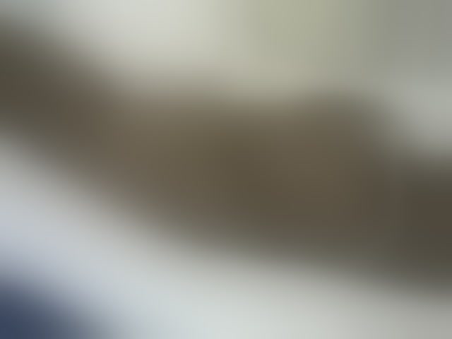 Live sex webcam photo for Verylshanny #293935530