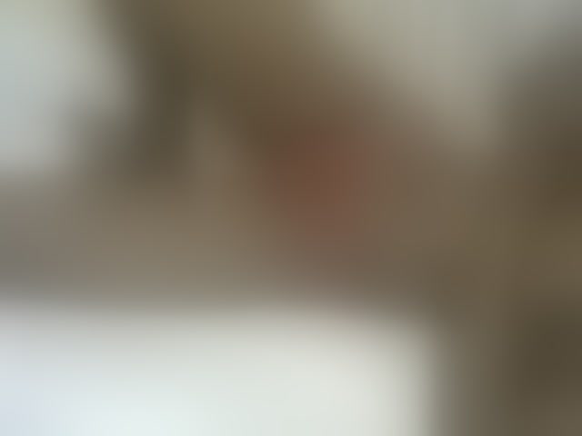 Live sex webcam photo for Verylshanny #293944512