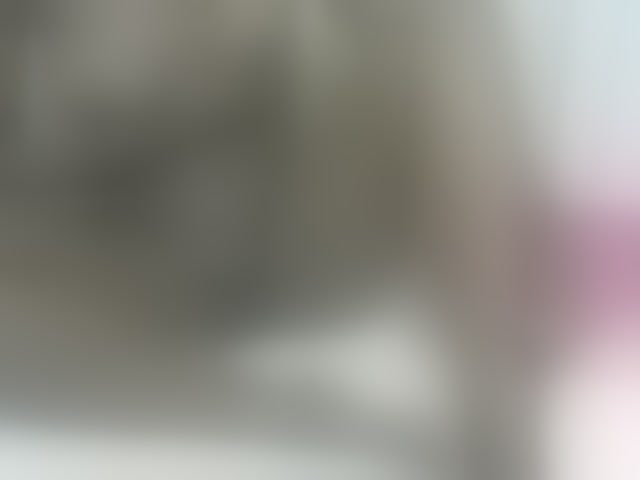 Live sex webcam photo for Verylshanny #293950058
