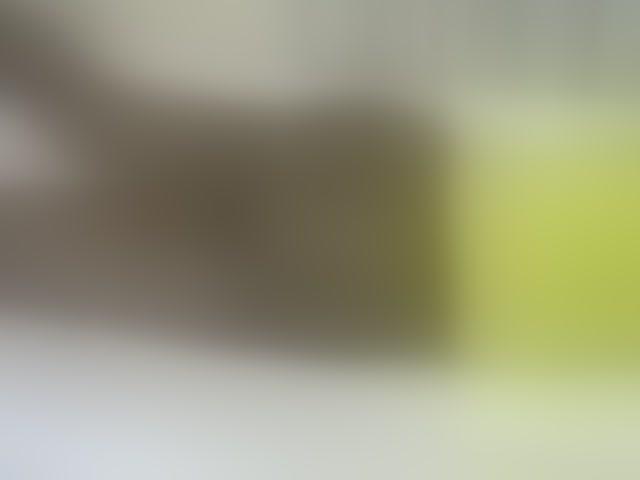 Live sex webcam photo for Verylshanny #293961852