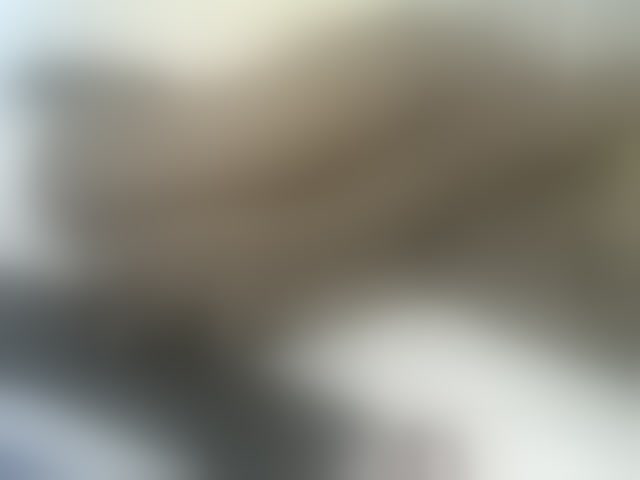Live sex webcam photo for Verylshanny #293968959