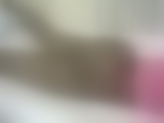 Live sex webcam photo for Verylshanny #293980356