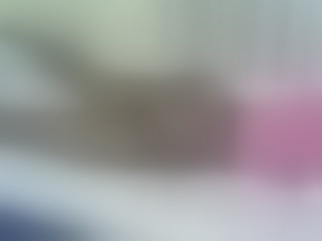 Live sex webcam photo for Verylshanny #294007494