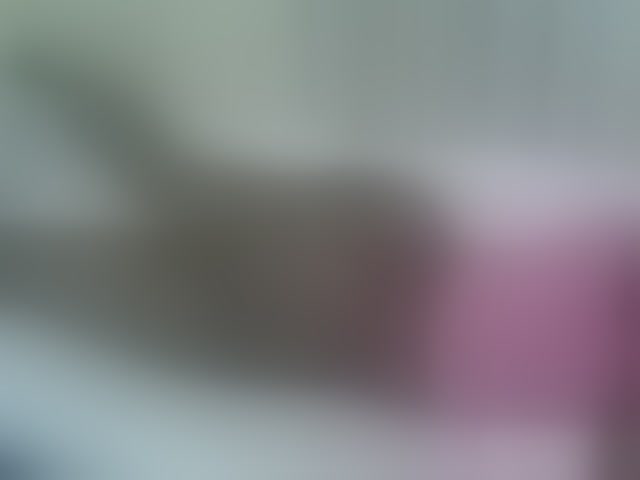 Live sex webcam photo for Verylshanny #294059408