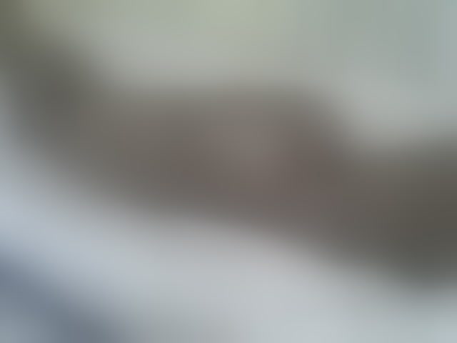 Live sex webcam photo for Verylshanny #294132406