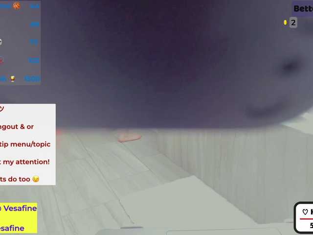 Live sex webcam photo for Vesafine #273226403