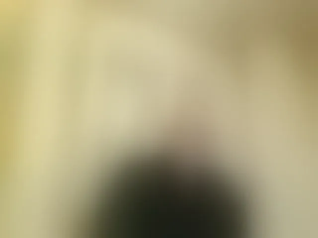 Live sex webcam photo for Vetalll777 #293188124