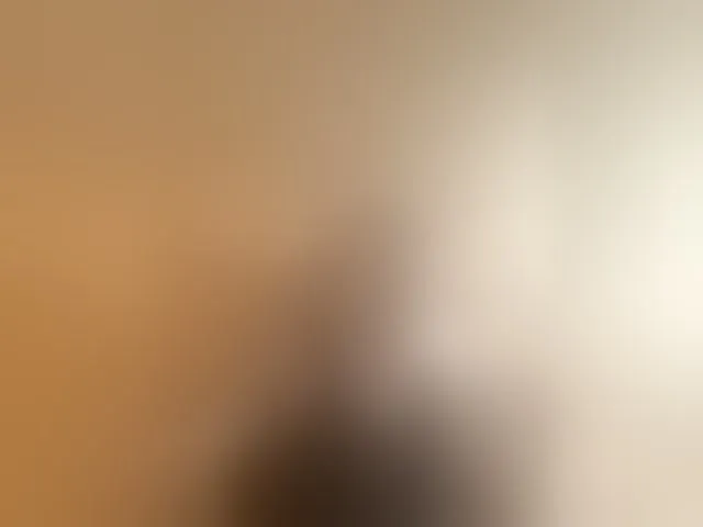 Live sex webcam photo for Vetalll777 #293926355