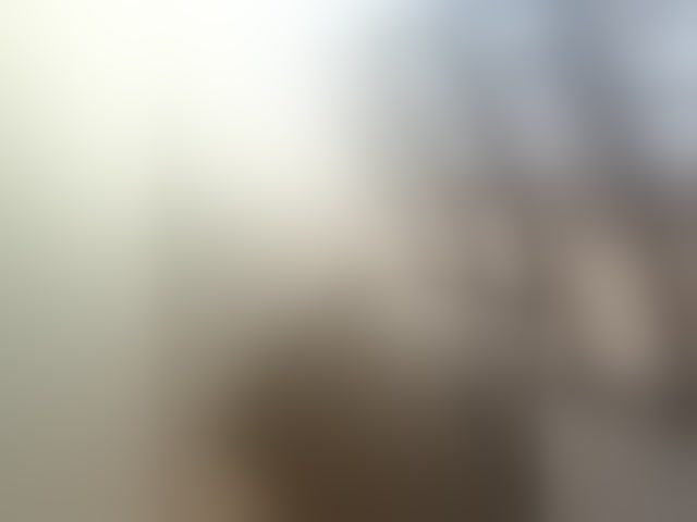 Live sex webcam photo for Vetalll777 #293973743