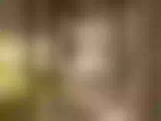 Live sex webcam photo for VibroMashulka #278085007