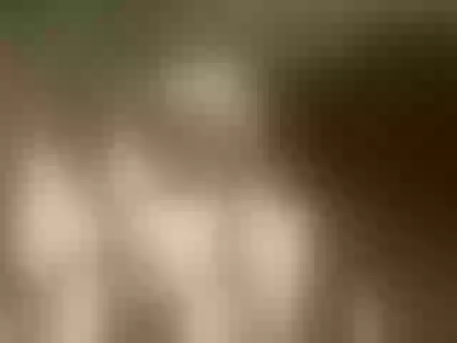 Live sex webcam photo for VibroMashulka #292054337