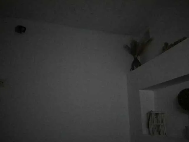 Live sex webcam photo for VickyIvy #291447662