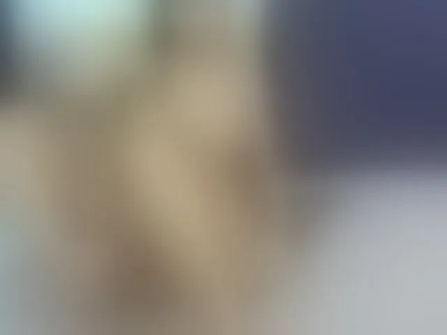 Live sex webcam photo for VickyIvy #292483068