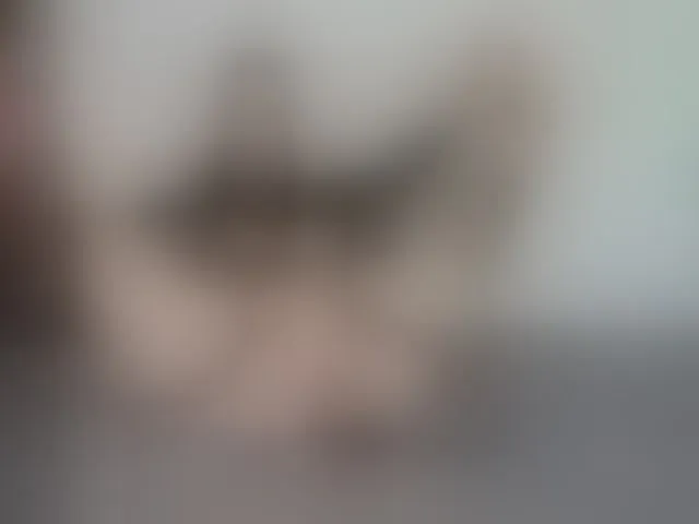 Live sex webcam photo for VickyLouna #292533252