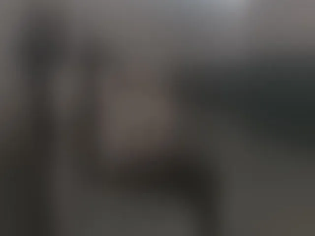 Live sex webcam photo for Victoria- #290342599