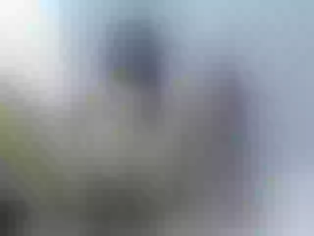 Live sex webcam photo for VictoriaAdams7 #288076997