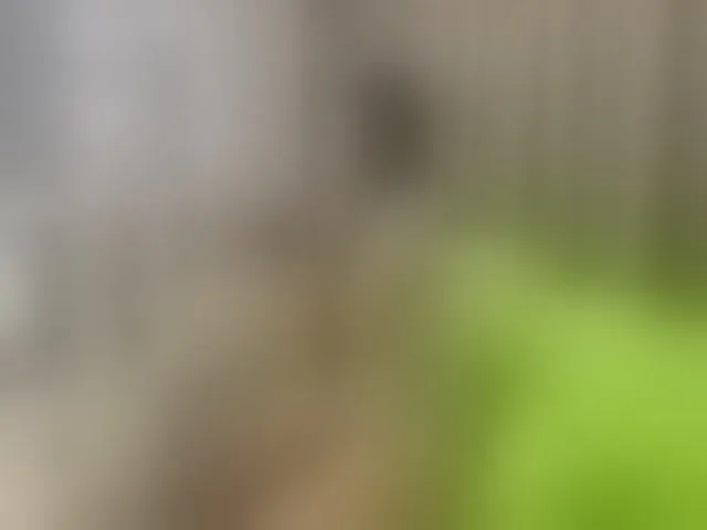 Live sex webcam photo for VictoriaBalee #292614339