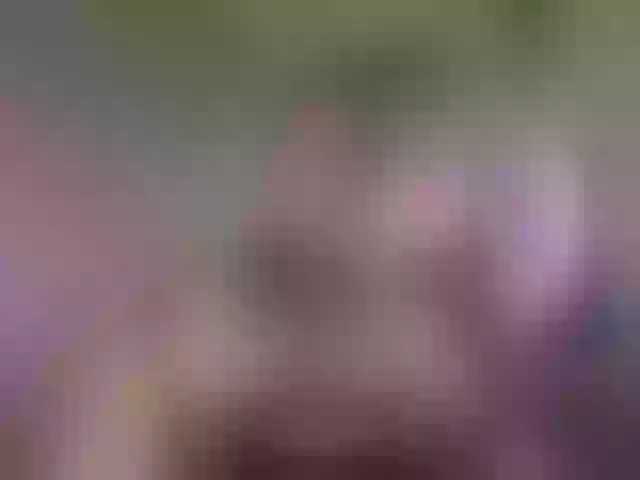 Live sex webcam photo for VictoriaDiamo #292264016