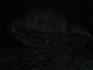 Live sex webcam photo for victoryasmith #146660882