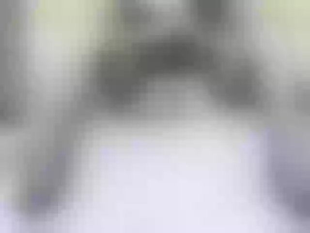 Live sex webcam photo for Vikibru #290365187