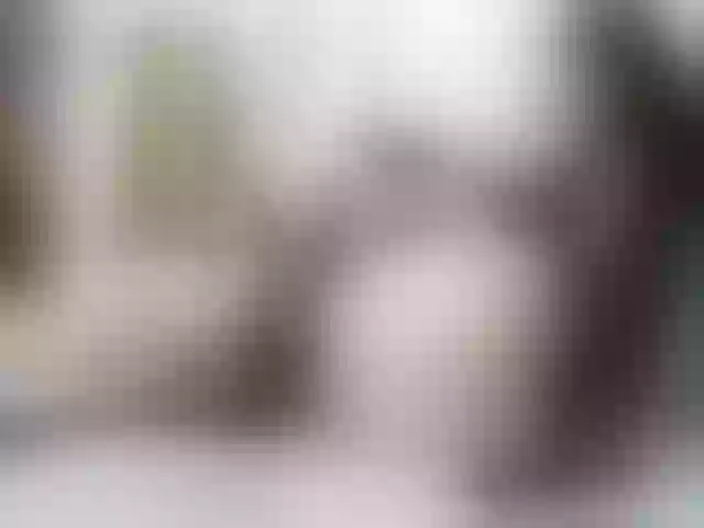Live sex webcam photo for Vikibru #291606503