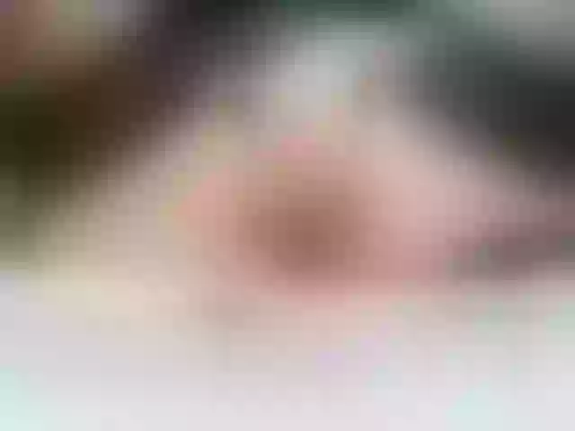 Live sex webcam photo for Vikibru #292137963