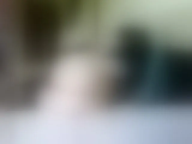 Live sex webcam photo for Vikibru #292512123