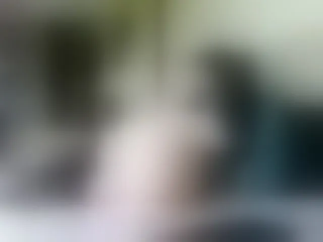 Live sex webcam photo for Vikibru #292810142