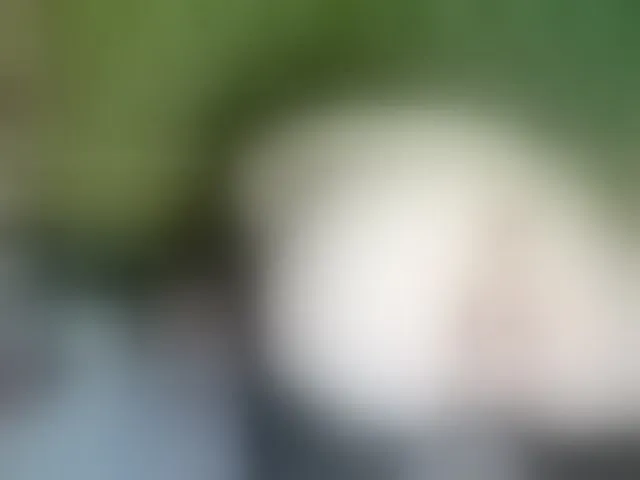 Live sex webcam photo for Vikibru #293658165